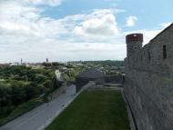 Довжок з panoramio.com