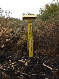 Булдинка - Останні фото