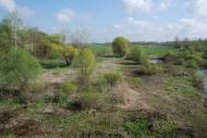 Байрак з panoramio.com
