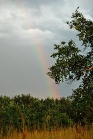 Лукищина з panoramio.com