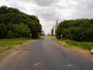 Молодіжне з panoramio.com