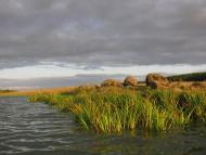 Рогізна з panoramio.com