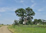 Цупки з panoramio.com - Цупки