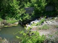 Медвежанка з panoramio.com