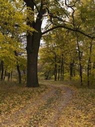 Червоний Донець з panoramio.com