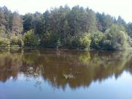 Мізяківська Слобідка з panoramio.com