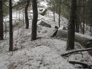 Карабинівка з panoramio.com