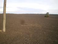 Хрещате з panoramio.com