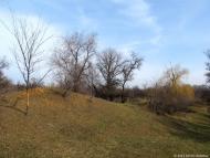 Раєво-Олександрівка з panoramio.com