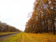 Новооріхівка з panoramio.com