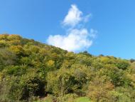 Підчумаль з panoramio.com