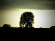 Новооріхівка з panoramio.com