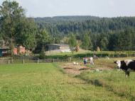 Дністрик-Дубовий з panoramio.com