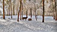 Воля-Старицька з panoramio.com