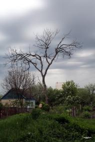 Вільне з panoramio.com