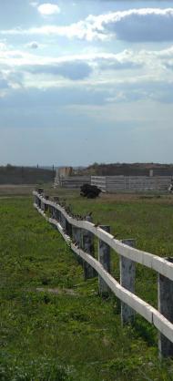 Більськ з panoramio.com