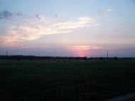 Мільки з panoramio.com