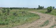 Цупки з panoramio.com - Цупки