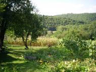 Сновидів з panoramio.com