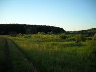 Солоницівка з panoramio.com - Solonytsivka