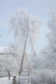 Бродівське з panoramio.com