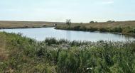 Цупки з panoramio.com - Цупки