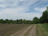 Юшківці з panoramio.com