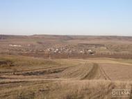 Стальне з panoramio.com