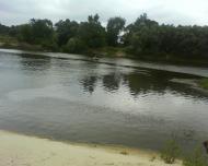 Риботин з panoramio.com