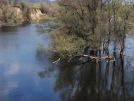 Петрове з panoramio.com