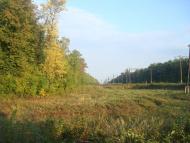 Колом'є з panoramio.com