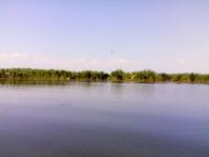 Нова Некрасівка з panoramio.com