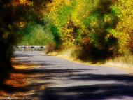 Новомильськ - Останні фото