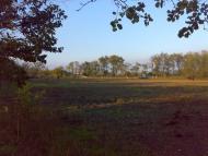 Базарове з panoramio.com