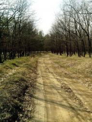 Лисичанський з panoramio.com