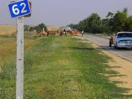 Колоски - Останні фото