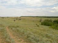 Красний Партизан з panoramio.com