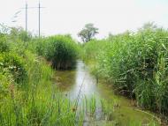 Дерезівка з panoramio.com