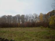 Суходіл з panoramio.com