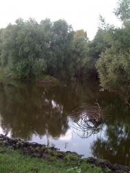 Шепелівка з panoramio.com