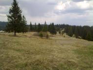 Тітківці з panoramio.com