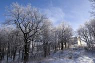 Червоний Донець з panoramio.com - Червоный Донец