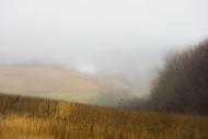 Геївка з panoramio.com - Geyivka