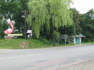 Великий Дорошів з panoramio.com