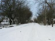 Радушне з panoramio.com