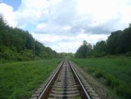 Жищинці з panoramio.com