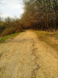 Лисичанський з panoramio.com