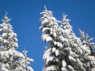 Їжівці з panoramio.com