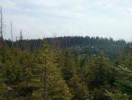 Бистриця з panoramio.com