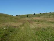 Сніжки з panoramio.com